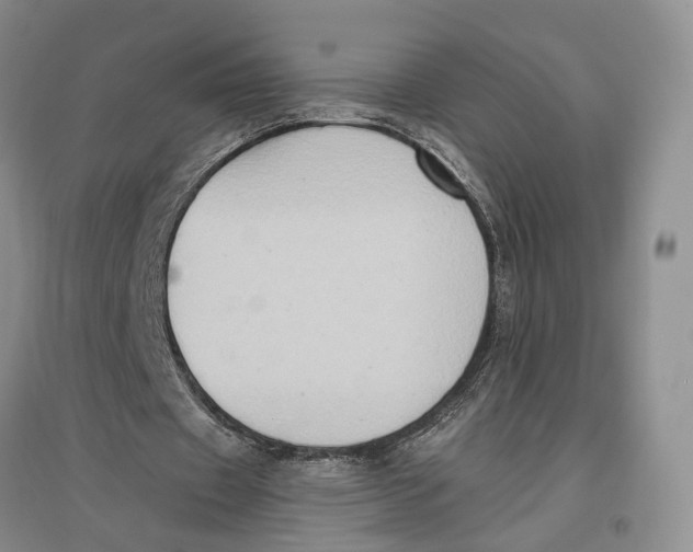 X0000096680433200802261520