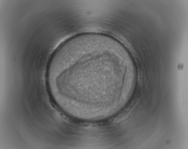 X0000096680434200802261520