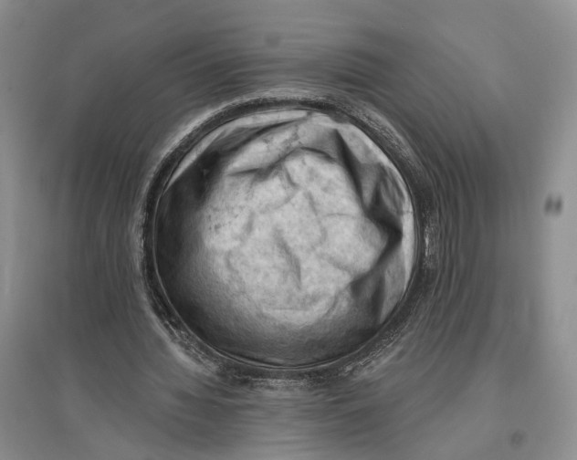 X0000096680436200802261520