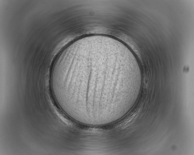 X0000096680437200802261520