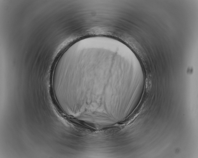 X0000096680438200802261520