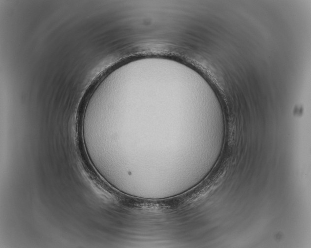 X0000096680439200802261520