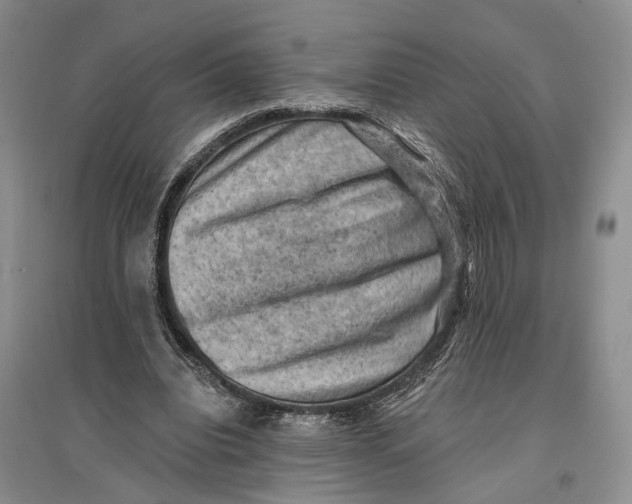 X0000096680440200802261520