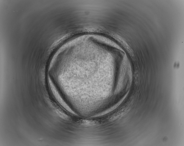 X0000096680442200802261520