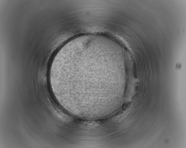 X0000096680443200802261520