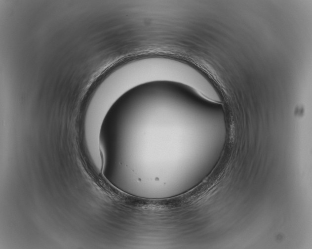 X0000096680444200802261520