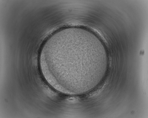 X0000096680447200802261520