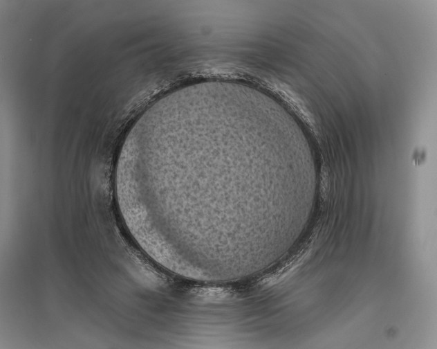 X0000096680449200802261520