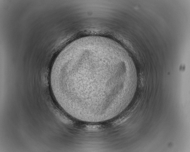 X0000096680450200802261520