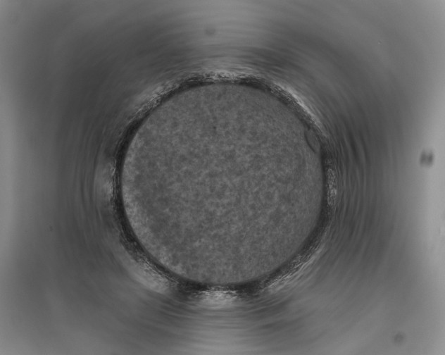 X0000096680451200802261520