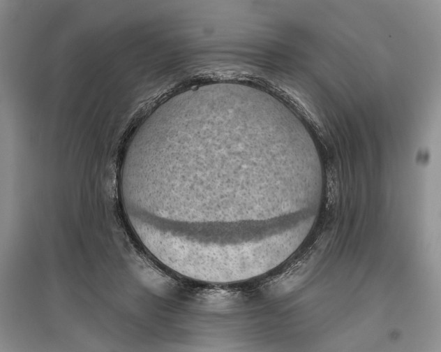 X0000096680453200802261520