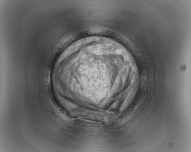 X0000096680454200802261520