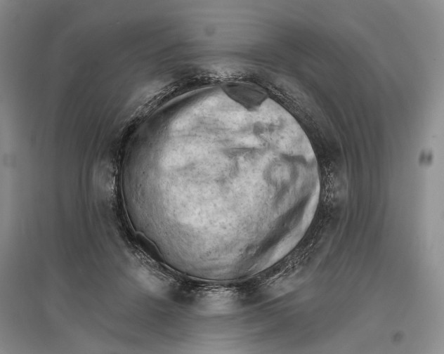 X0000096680456200802261520