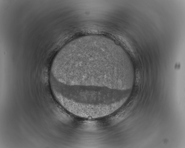 X0000096680457200802261520