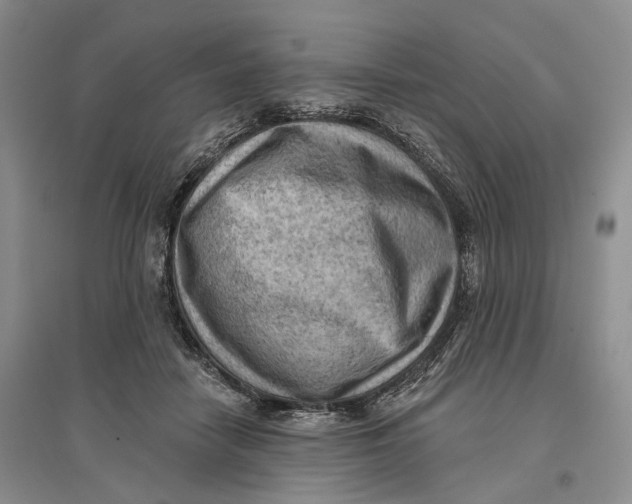 X0000096680458200802261520