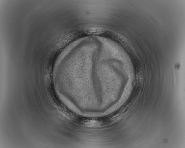 X0000096680460200802261520