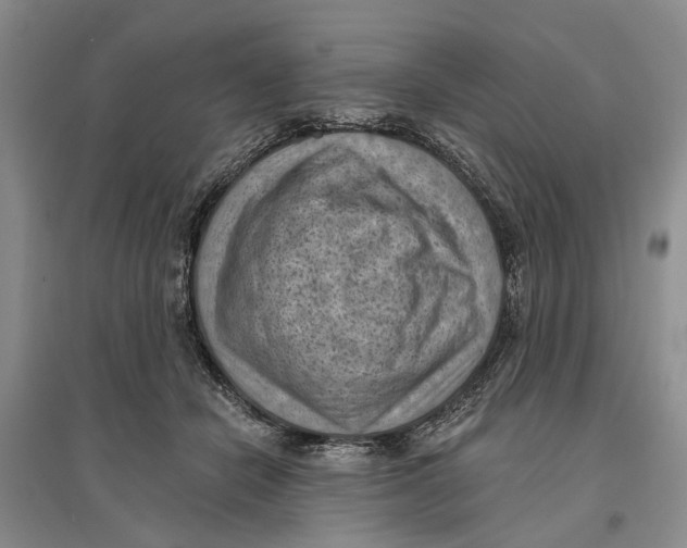 X0000096680462200802261520