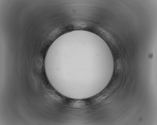 X0000096680463200802261520