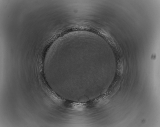 X0000096680465200802261520