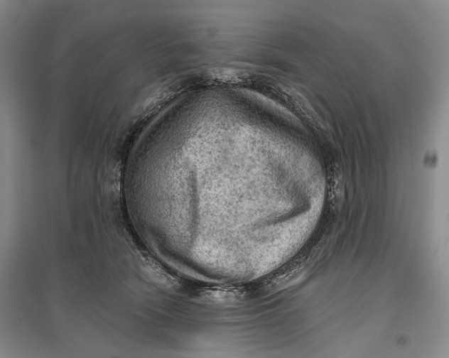 X0000096680466200802261520