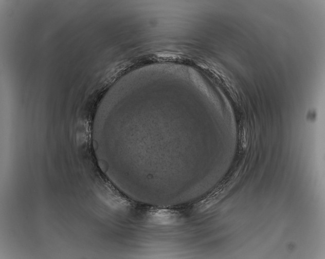 X0000096680467200802261520