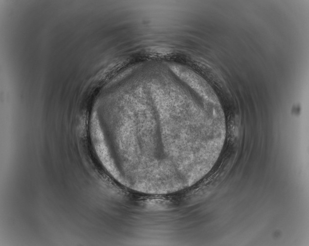 X0000096680468200802261520