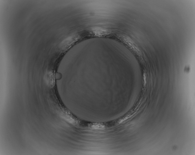 X0000096680471200802261520