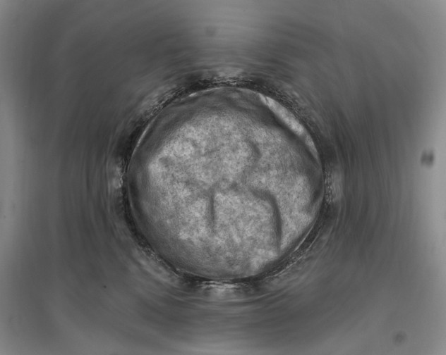 X0000096680472200802261520