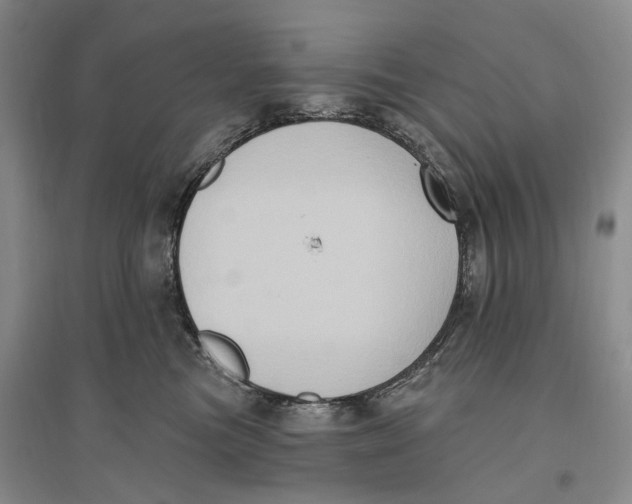 X0000096680473200802261520