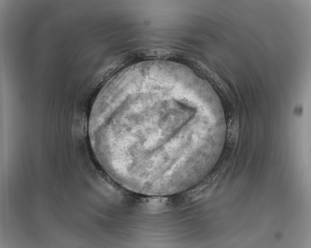 X0000096680474200802261520