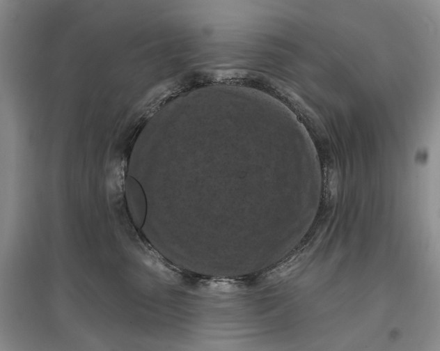 X0000096680475200802261520