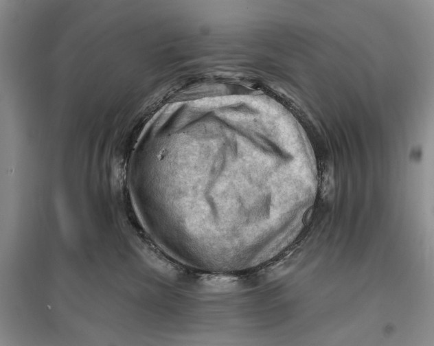 X0000096680476200802261520