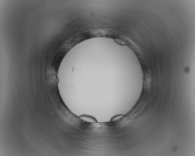 X0000096680477200802261520