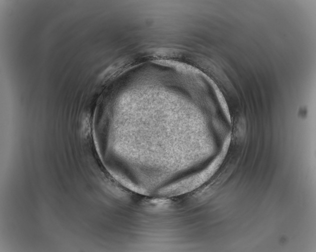 X0000096680478200802261520