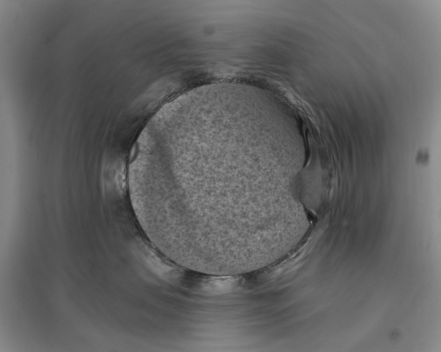 X0000096680479200802261520