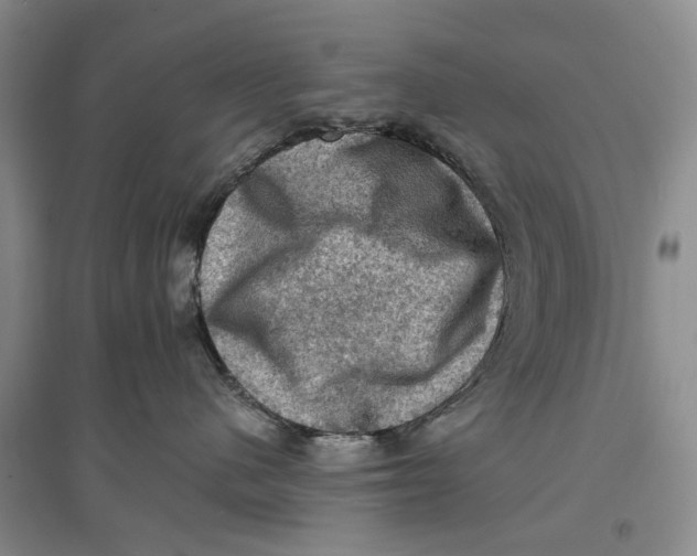 X0000096680480200802261520