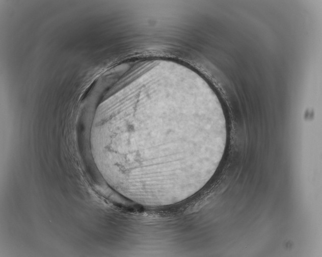 X0000096680481200802261520