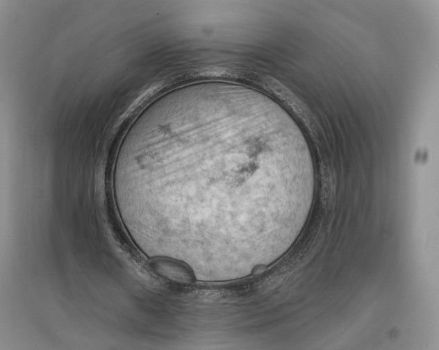 X0000096680482200802261520