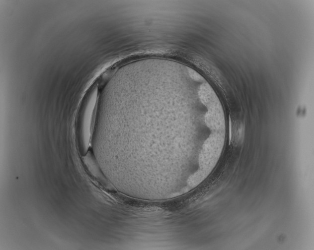 X0000096680483200802261520