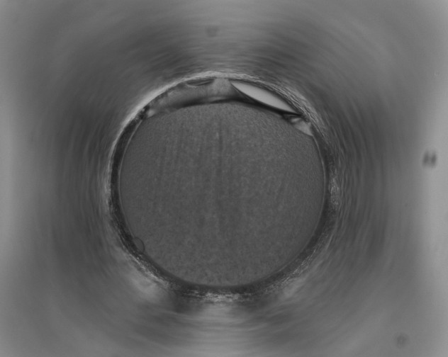 X0000096680484200802261520