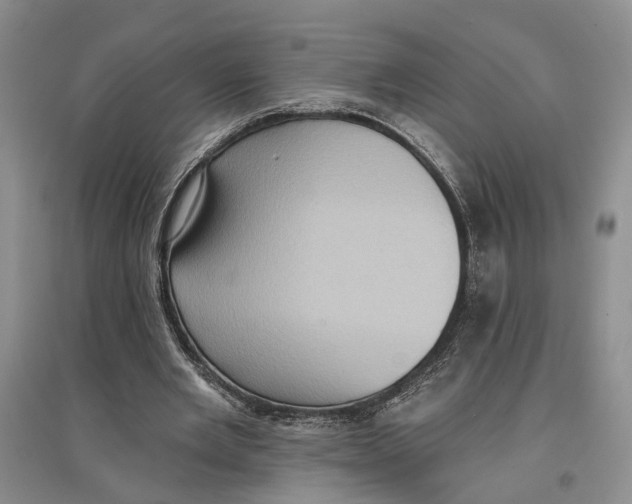 X0000096680485200802261520