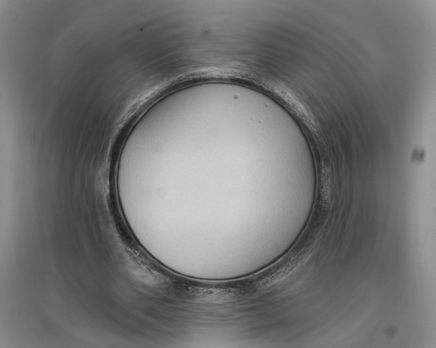 X0000096680486200802261520