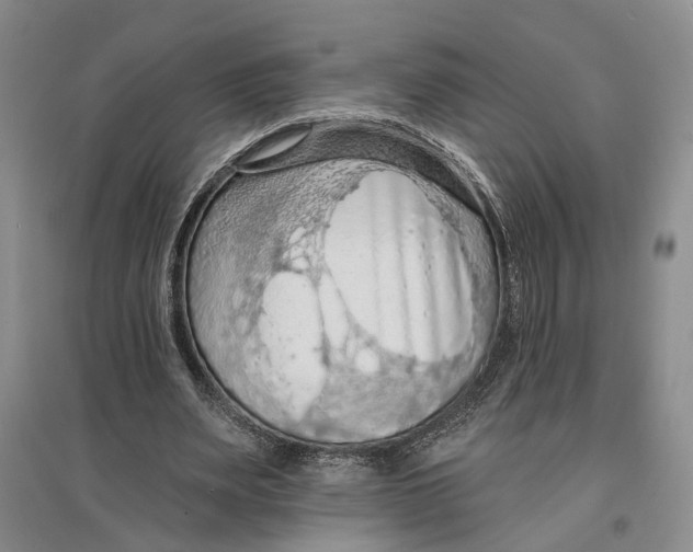 X0000096680487200802261520