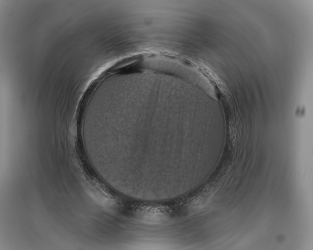 X0000096680488200802261520