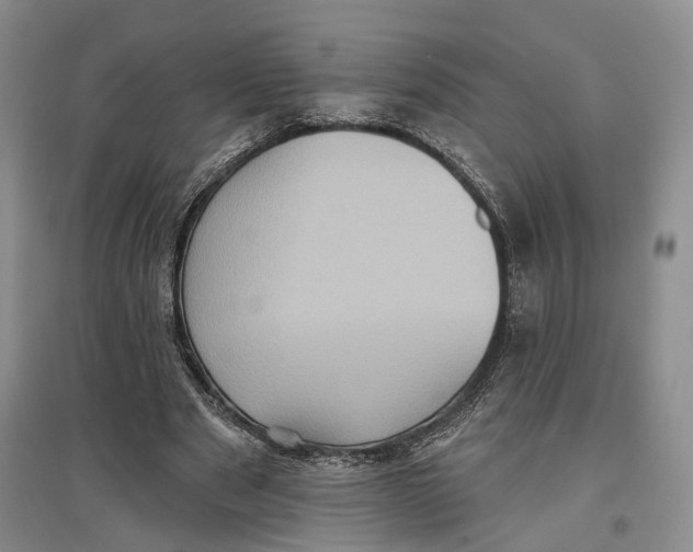 X0000096680489200802261520