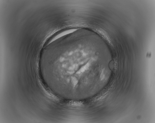 X0000096680491200802261520