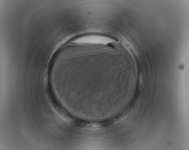 X0000096680492200802261519