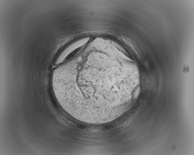 X0000096680495200802261519