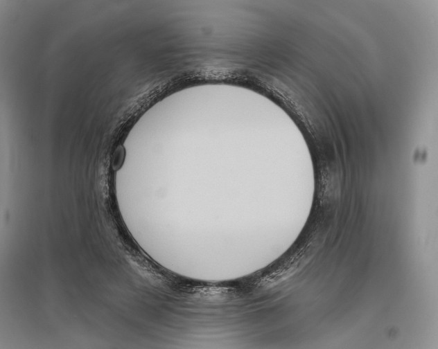 X0000096680497200802261519