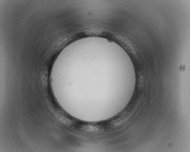 X0000096680498200802261519